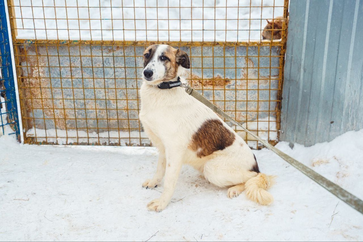 Где же мама и папа?!