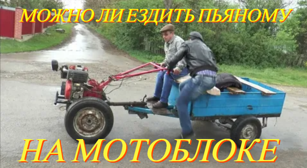 фото источник интерне