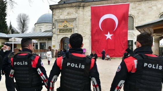    В Стамбуле за нарушения закроют более 250 отелей Виктория Шварц