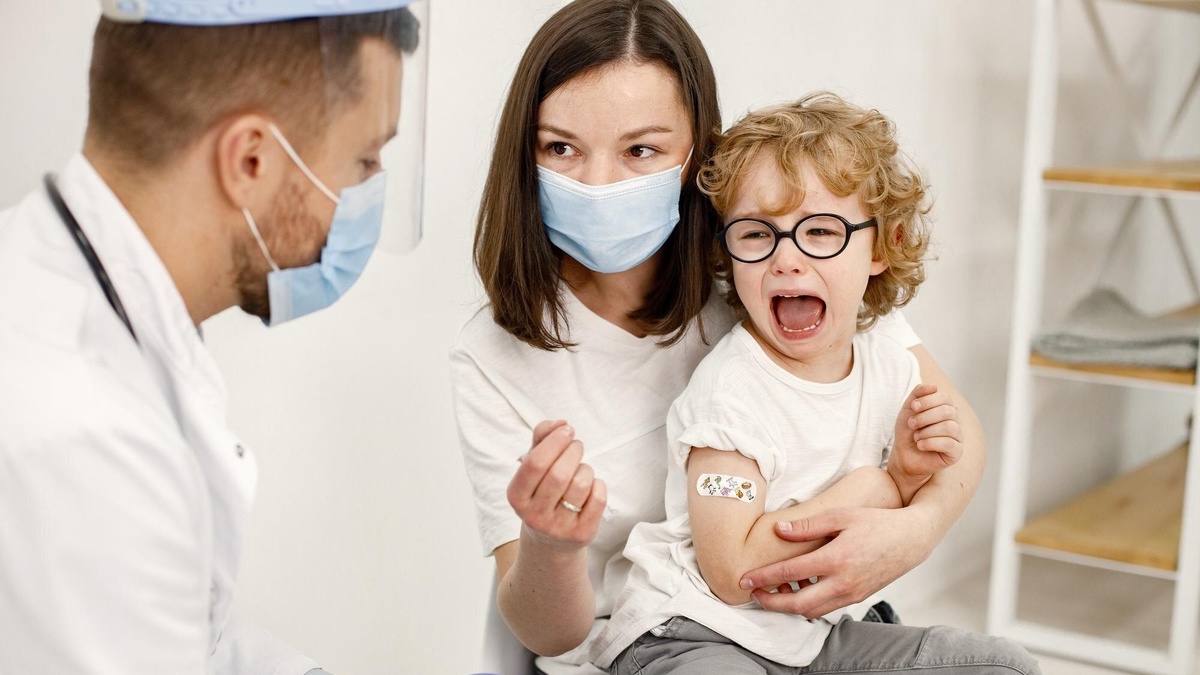    Почти тысяча югорчан в 2024 году обратились к врачам после укусов животных