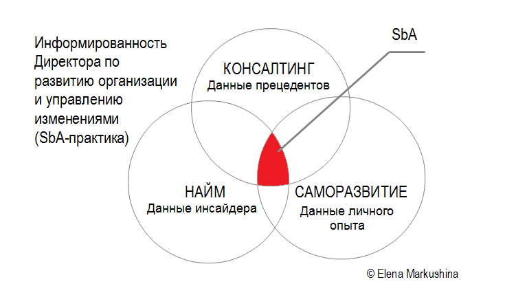 Компетенции директора по развитию организации