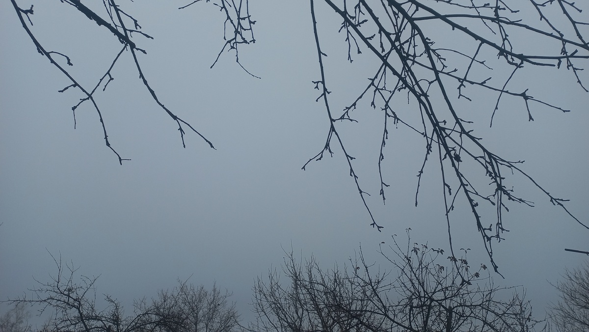 Это и другие фото сделаны автором и принадлежат ему на условиях авторского права 