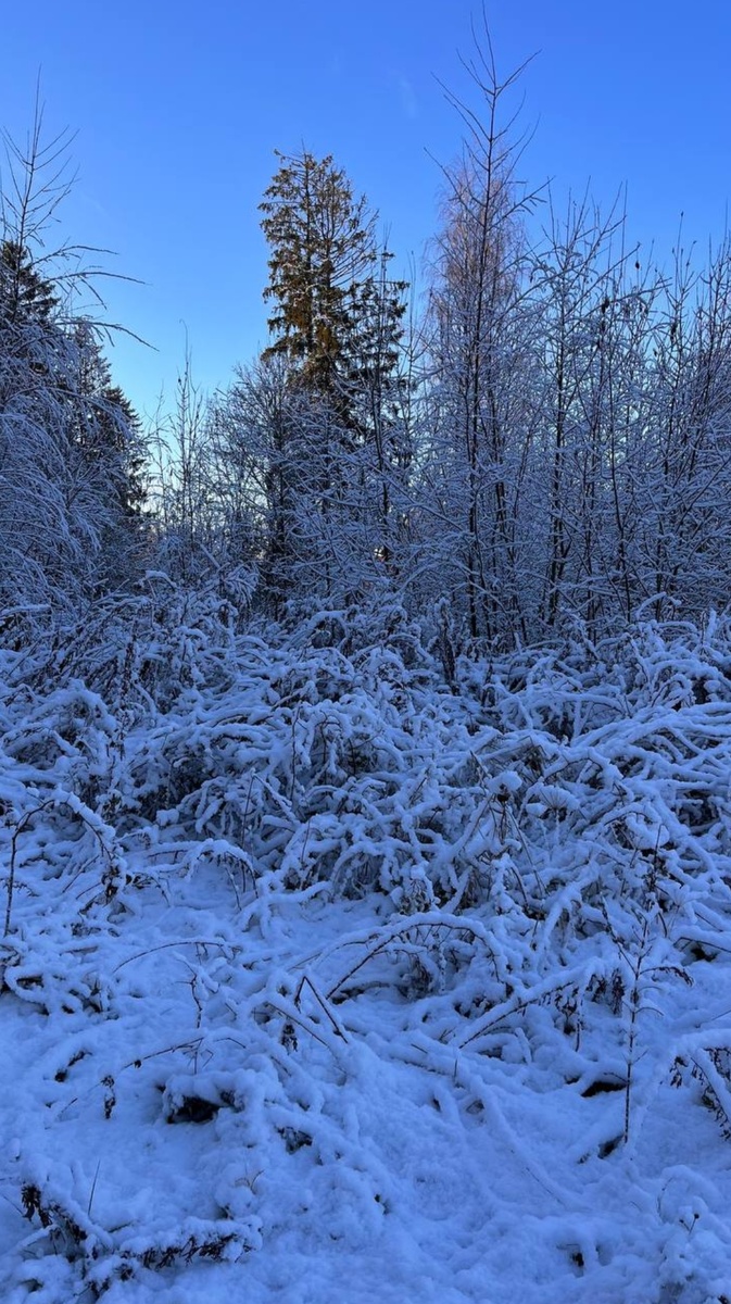 Дочь родилась в морозный день снежного февраля 1994г. Фото дочери