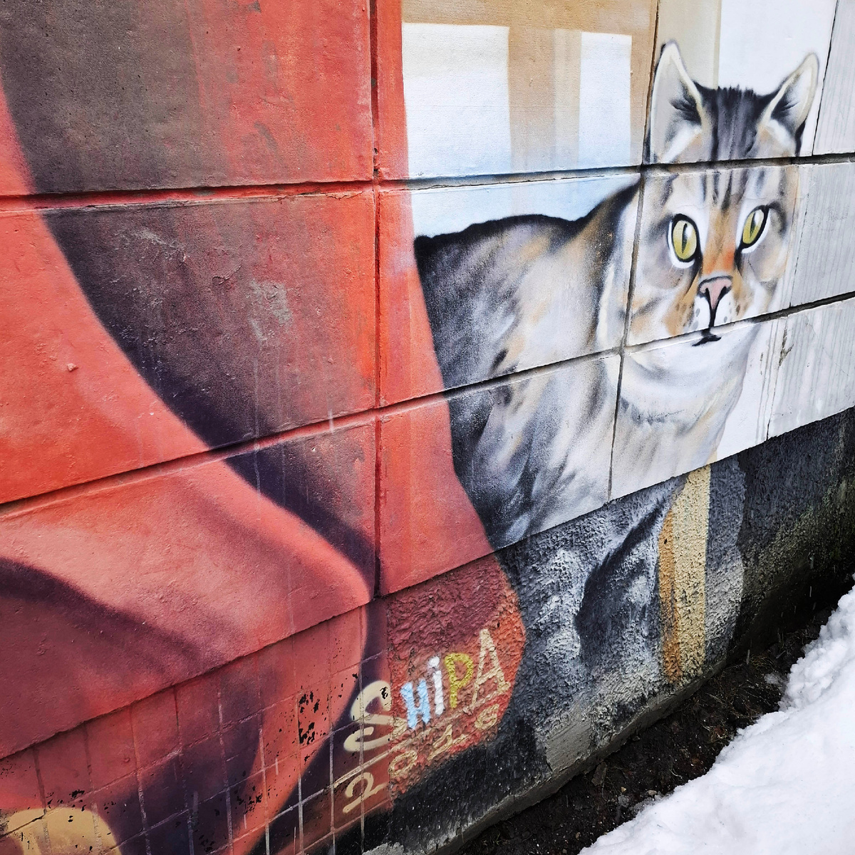 Кот сидит у ног бабушки, покушается на клубок. Листайте карусель, там фрагменты этого граффити.