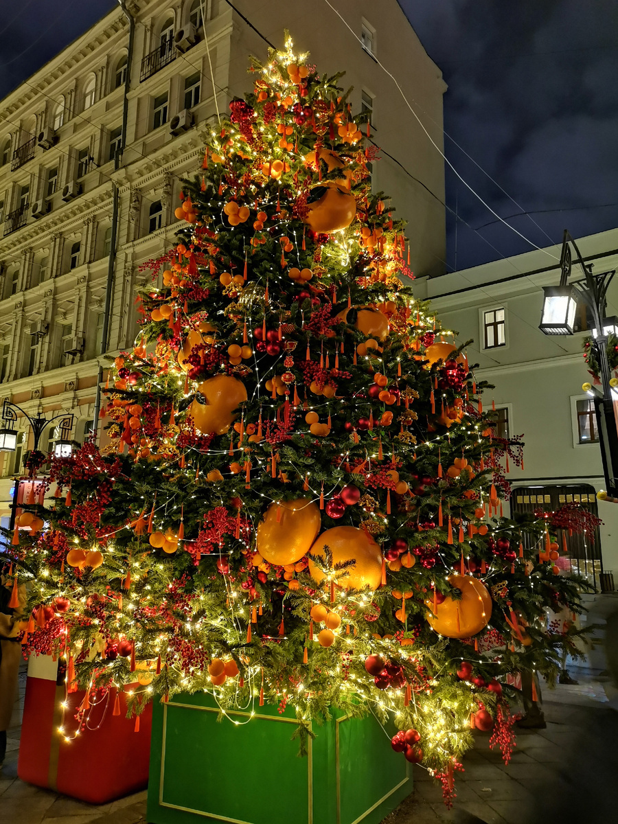 Та самая ёлка с мандаринами. Редкая минута, когда возле неё никого не было!