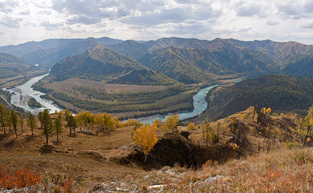 Вид на Катунь с подъема на гору 
