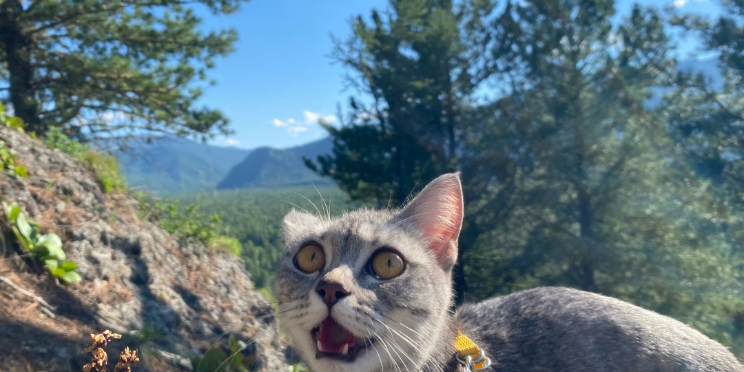 На какие горы на Алтае может сходить каждый?