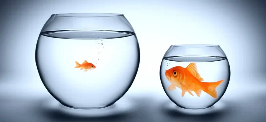 Designed by Freepik. Источник: www.freepik.com