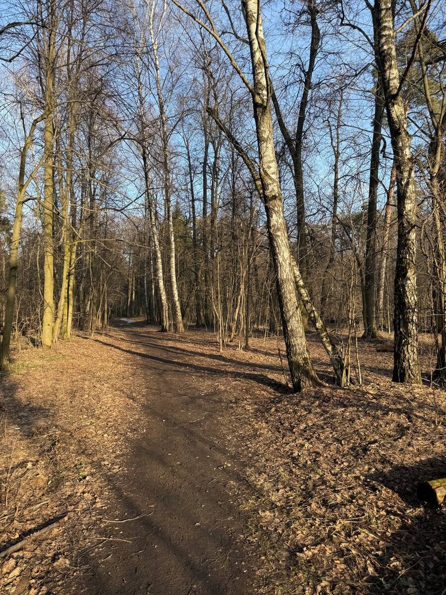 31 января 2025 Балашиха