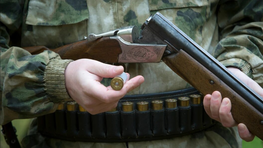    Nikolay Gyngazov/Global Look Press