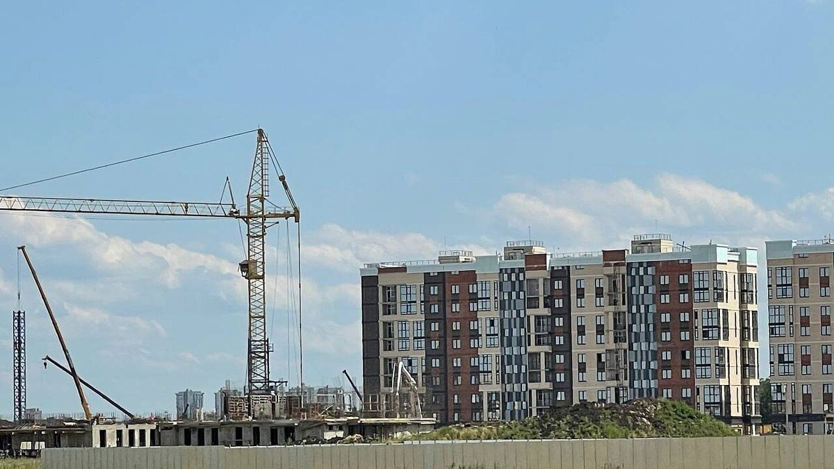    Фото: телеканал «Краснодар»