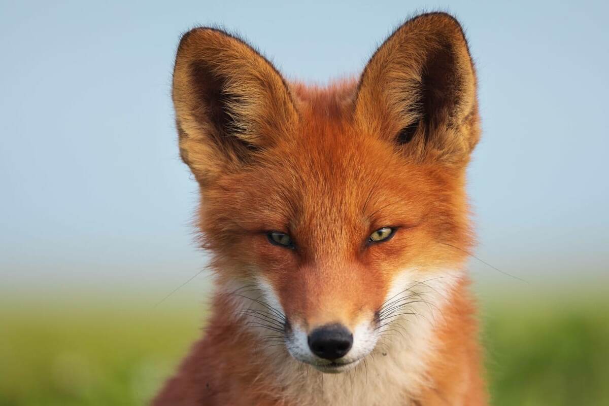 Фото: Дмитрий Шпиленок