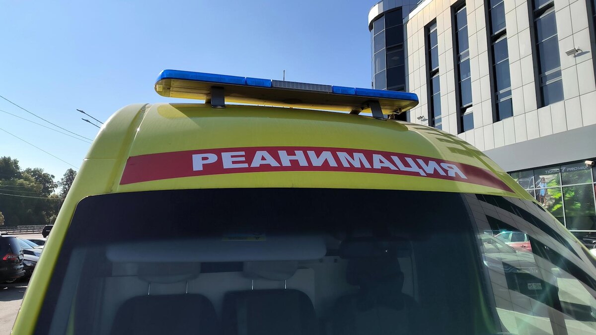    Фото: Maksim Konstantinov/globallookpress.com