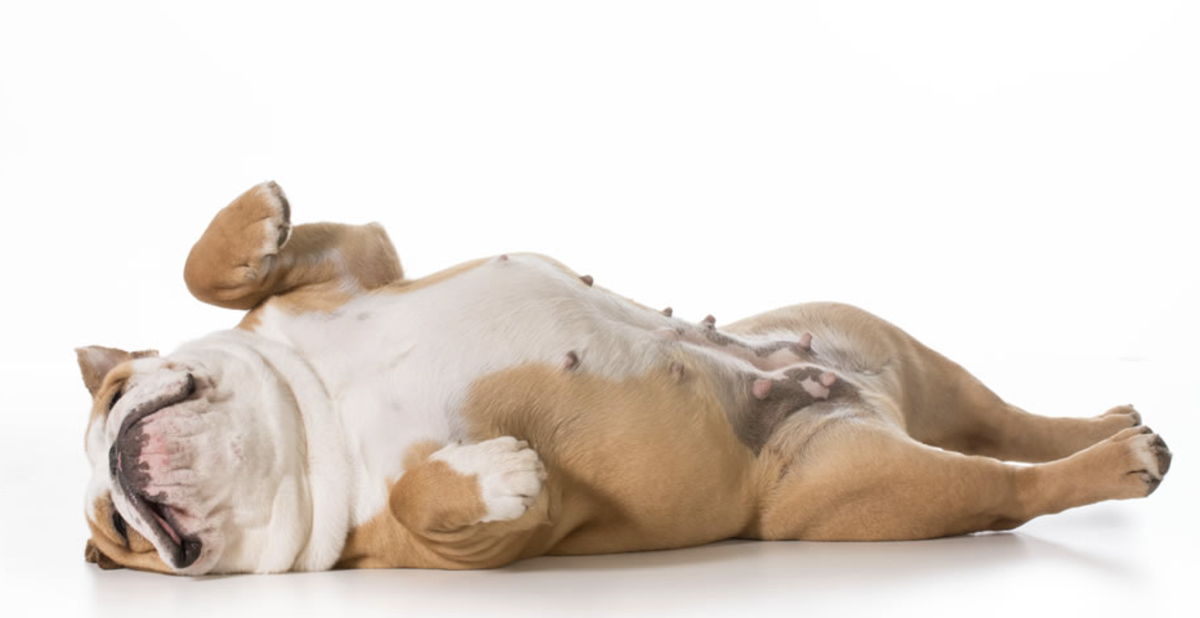 источник фото: https://i.pinimg.com/originals/0e/13/2b/0e132bd2cb2c408b784b07ae36500e18.png