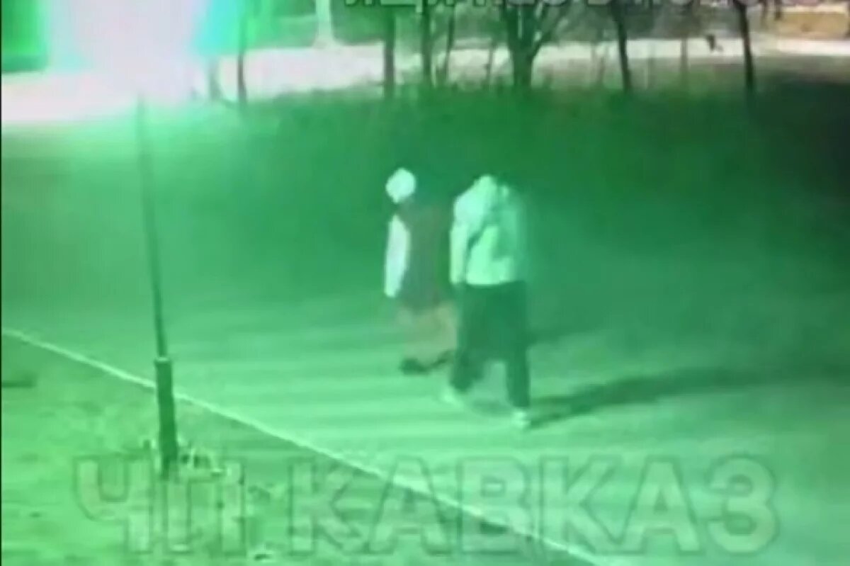    Глава СКР потребовал доклад о зверском убийстве пенсионерки в Нальчике