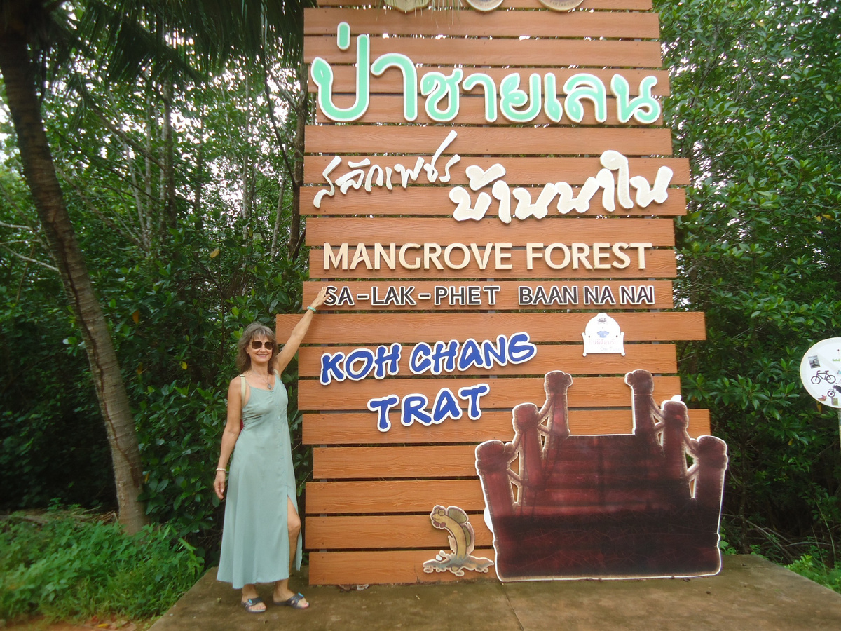 Мангровый лес в деревне  Salak Phet на о. Чанг, Таиланд.