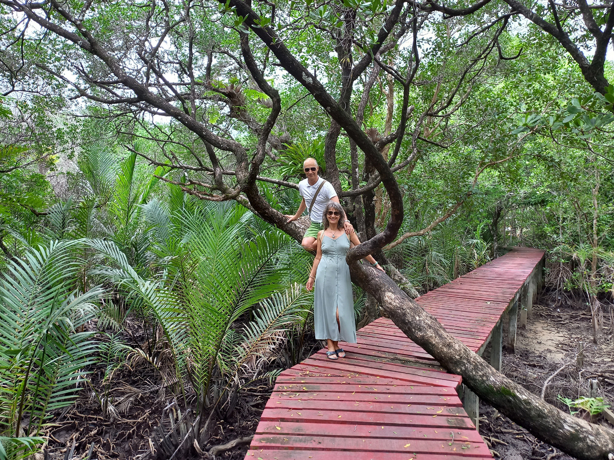 Мангровый лес в деревне  Salak Phet на о. Чанг, Таиланд.