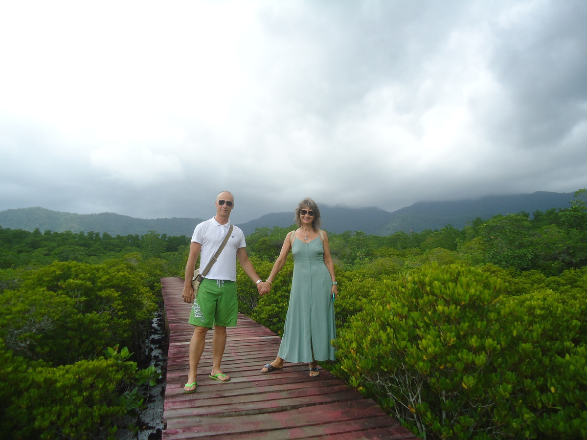 Мангровый лес в деревне  Salak Phet на о. Чанг, Таиланд.