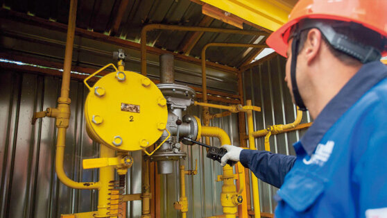    В Приднестровье поступит европейский гуманитарный газ Виктория Шварц