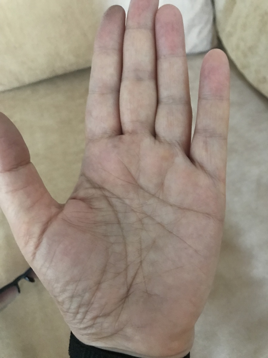 Фото с моего канала Дзен. 