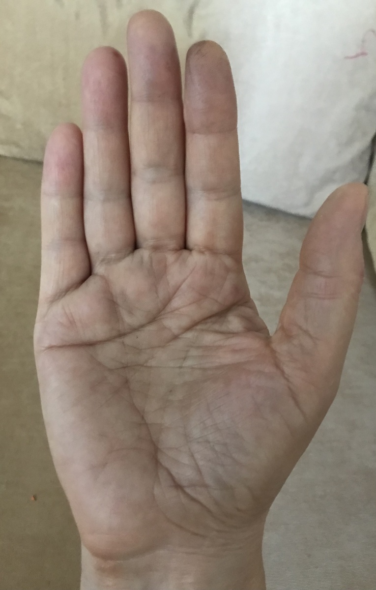 Фото с моего канала Дзен