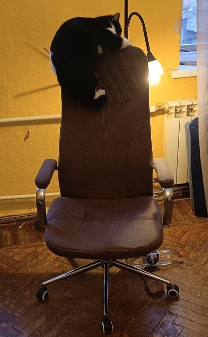 Да, бывает как этому коту сбежать хочется) Кот не мой)