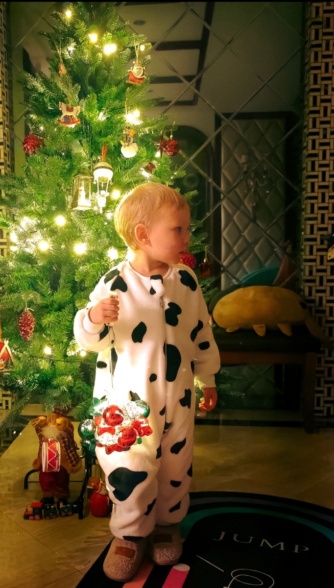 Украшать ёлку становится всё более популярно в Китае. Но я ни разу не видела, чтобы китайцы ставили на Новый год живую ёлку. 