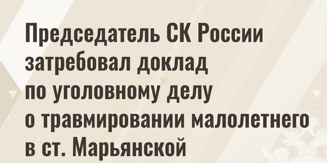 Председатель СК России затребовал доклад по уголовному делу о травмировании малолетнего в ст. Марьянской Краснодарского края