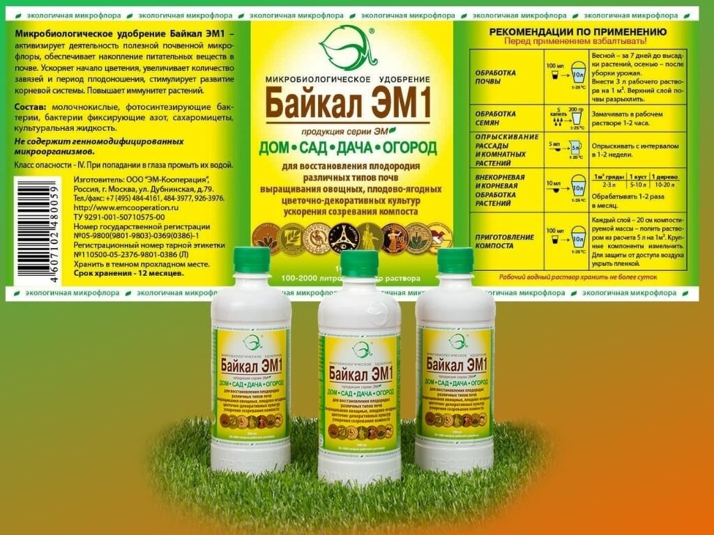 Верный помощник 