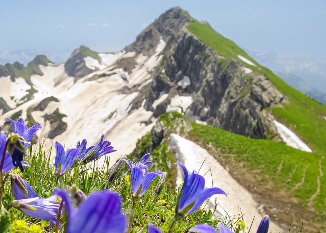 Не забываем про них в любое время года, ведь после зимы ‒ это живописные туристические тропы