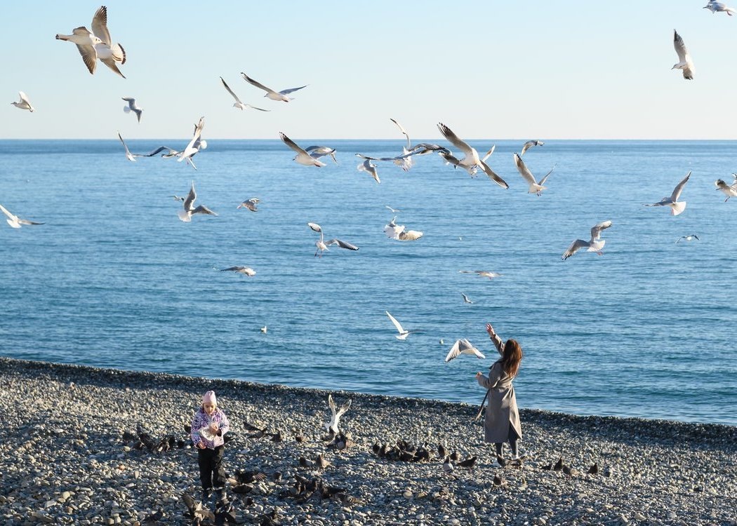 Погода в Сириусе в феврале тёплая благодаря влиянию моря и гор