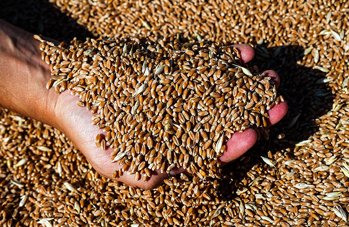    Эрик Романенко/ТАСС