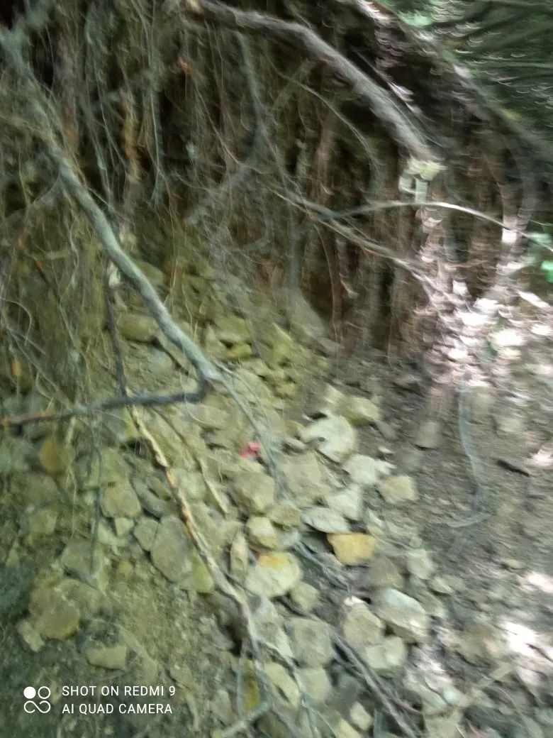 Самую мелкую щебень не собирал, а в целом каждый камушек был важен.