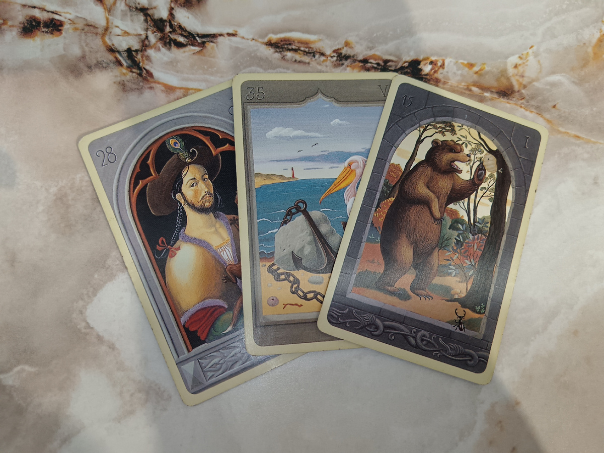 Мужчина Якорь Медведь 