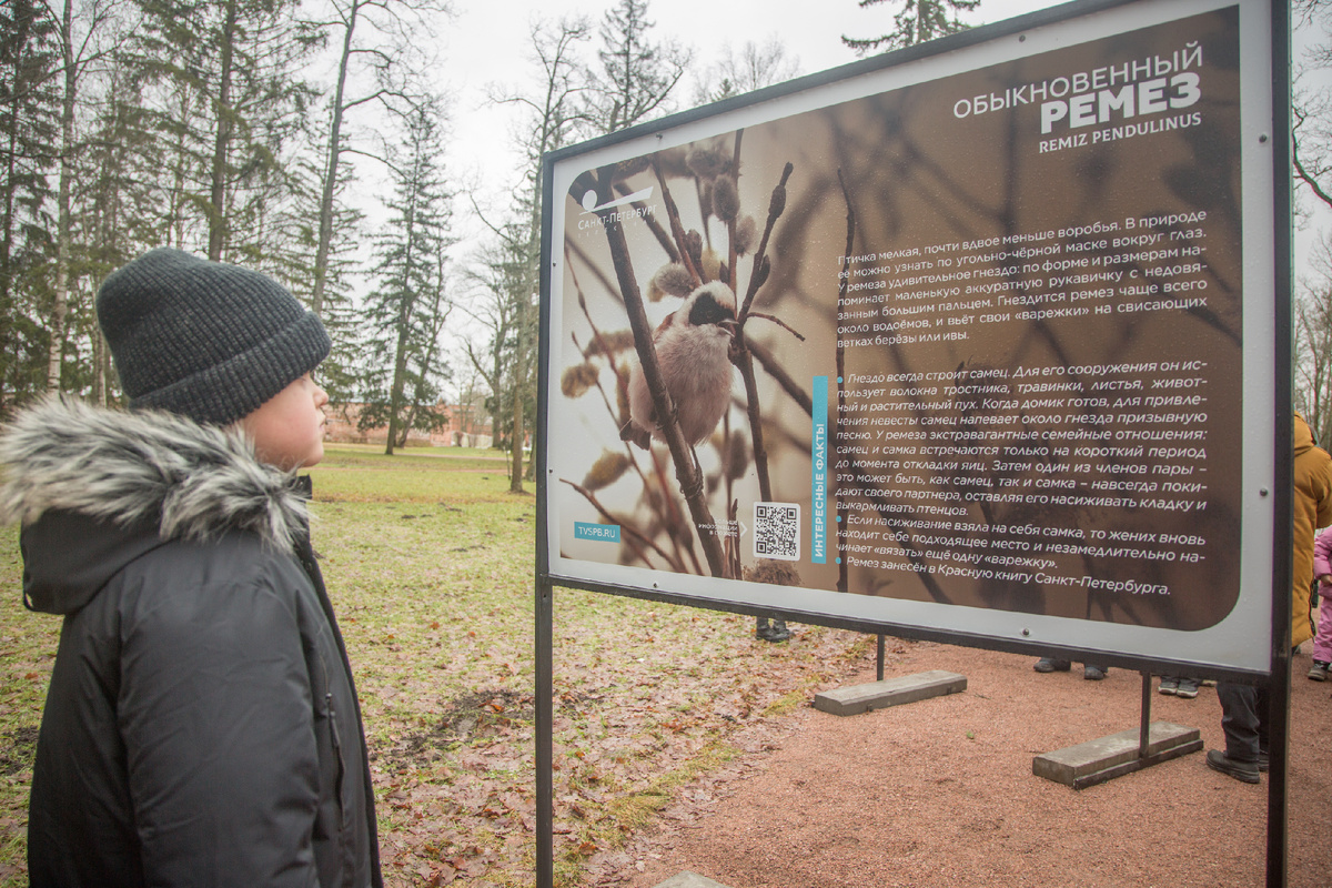 Фото: ГМЗ «Царское Село», Святослав Новиков
