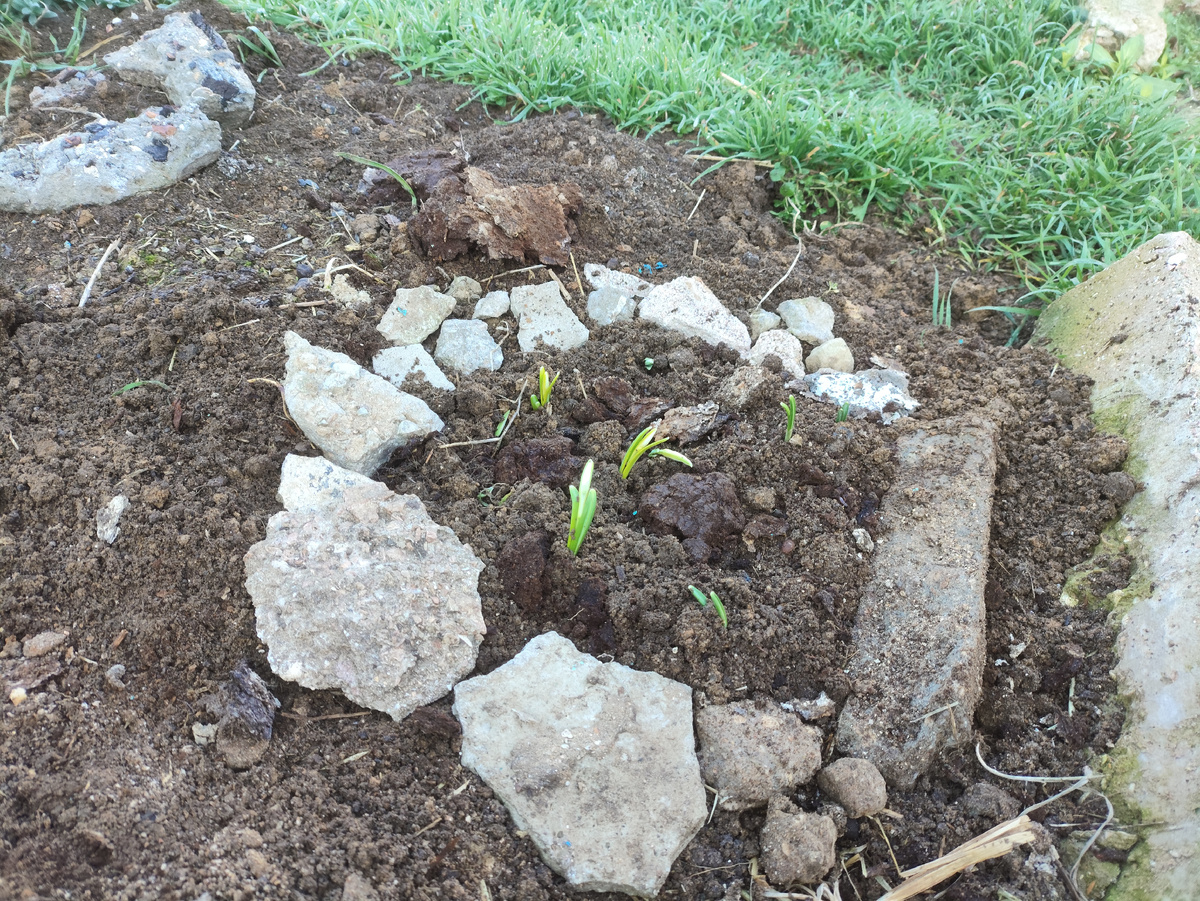 Раз кусочек