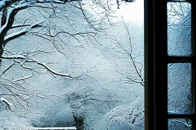 Изображение взято из нейросети Шедеврум. Фоторедактор