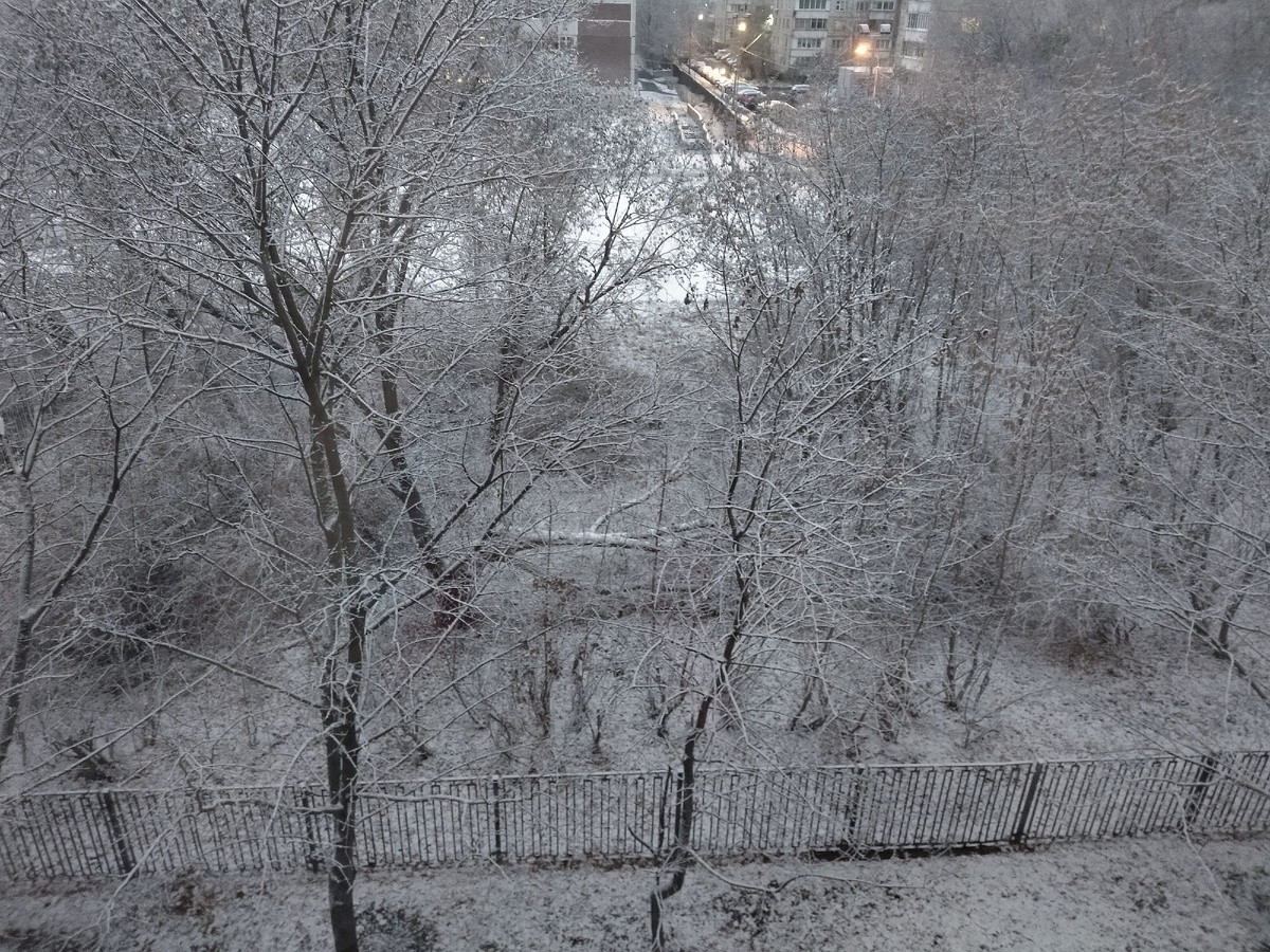 Фото старое, сейчас у нас не так) просто нашла зимнюю фотку, более или менее ассоциирующуюся с февралем)