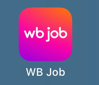 Приложение WB Job