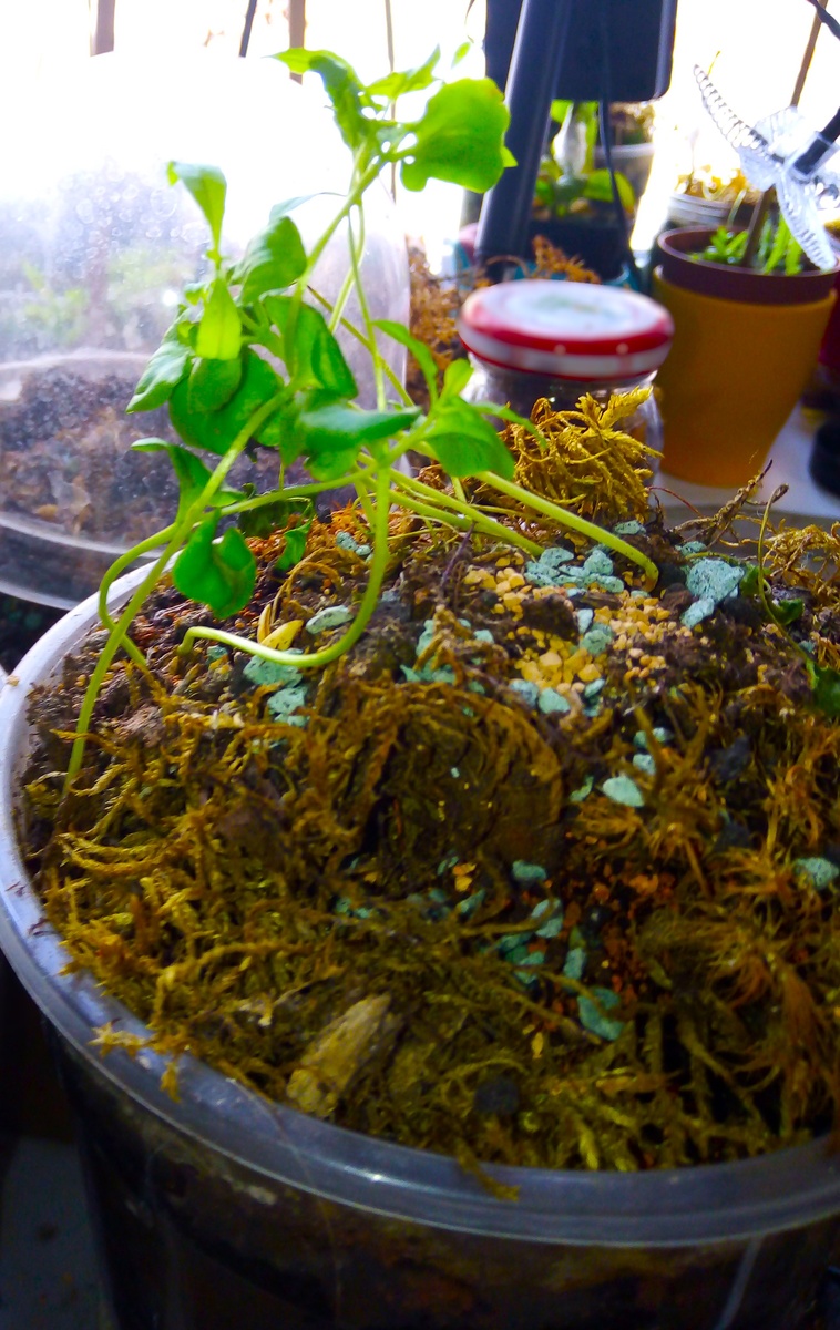 Фото автора.