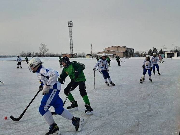     Школьники из Усть-Абакана, Абакана и Шира сразились на льду. Фото: администрация Усть-Абаканского района