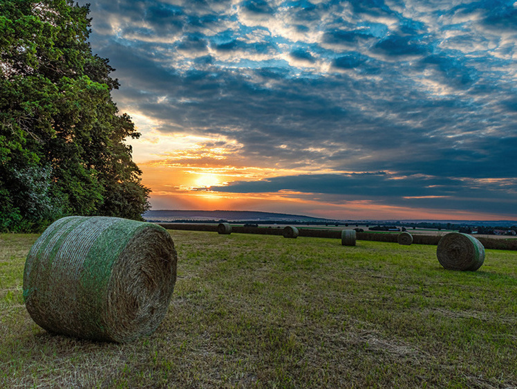     Фото: 1zoom.ru