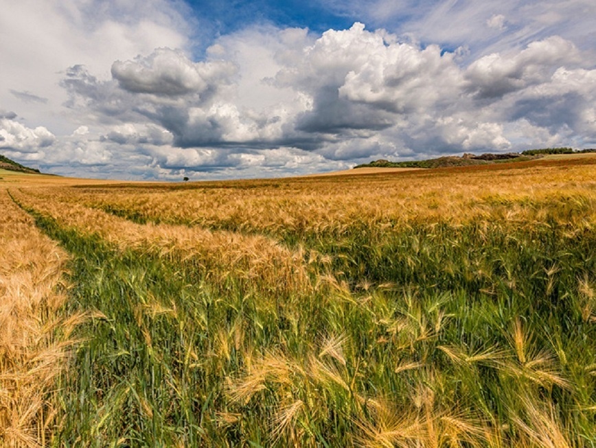     Фото: 1zoom.ru