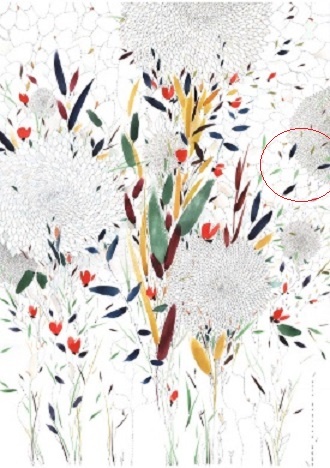 Багаева. Ботанический сад 1. 2024.  