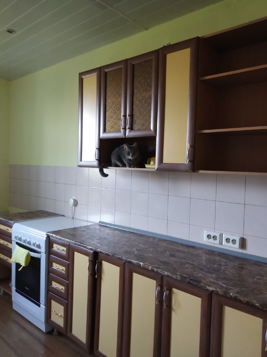 Тут только место под шкаф готово. Сальвадор наблюдает, руководит