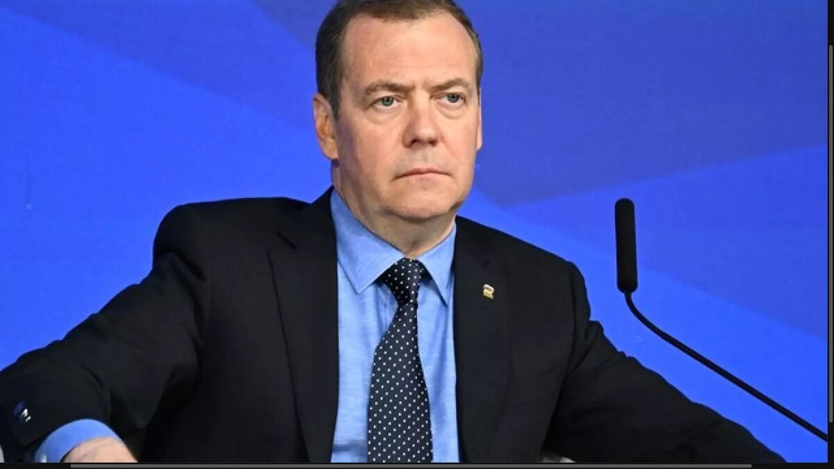 Дмитрий Медведев назвал чешского сенатора «дегенеративной тварью». Фото: Спутник.ру