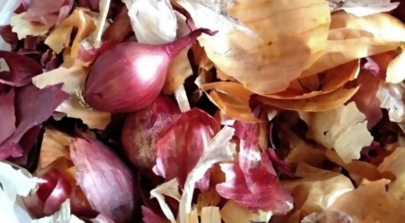 Чудо экстракт из луковой шелухи для сада и огорода