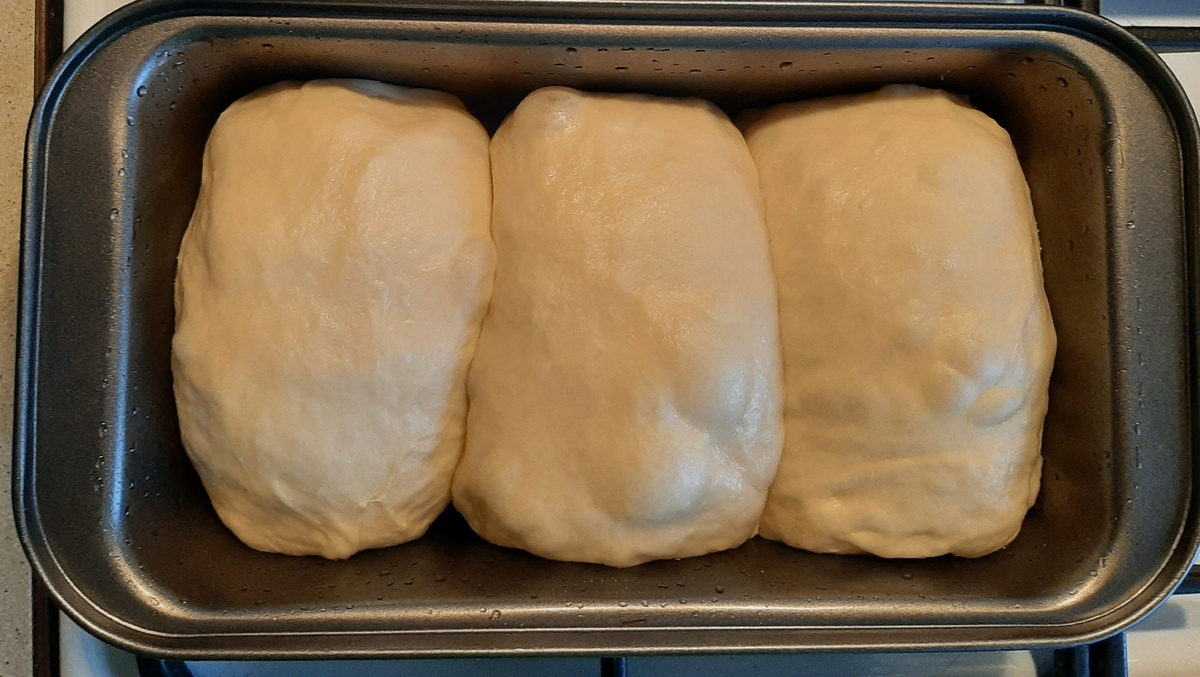 Сайка Ностальгия 