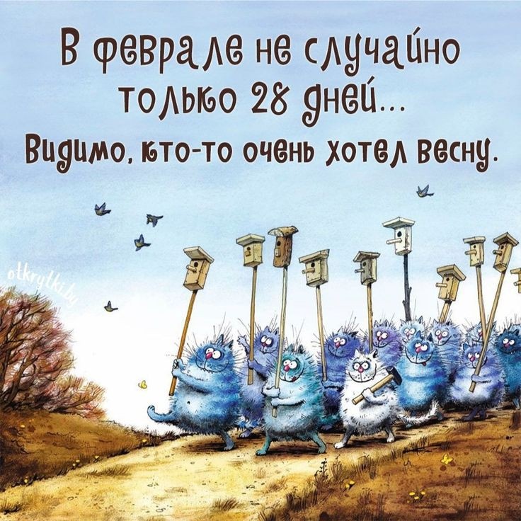 Фото из сети Интернет