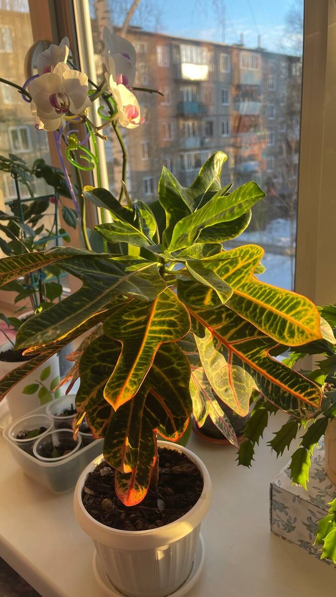 Фото автора. 